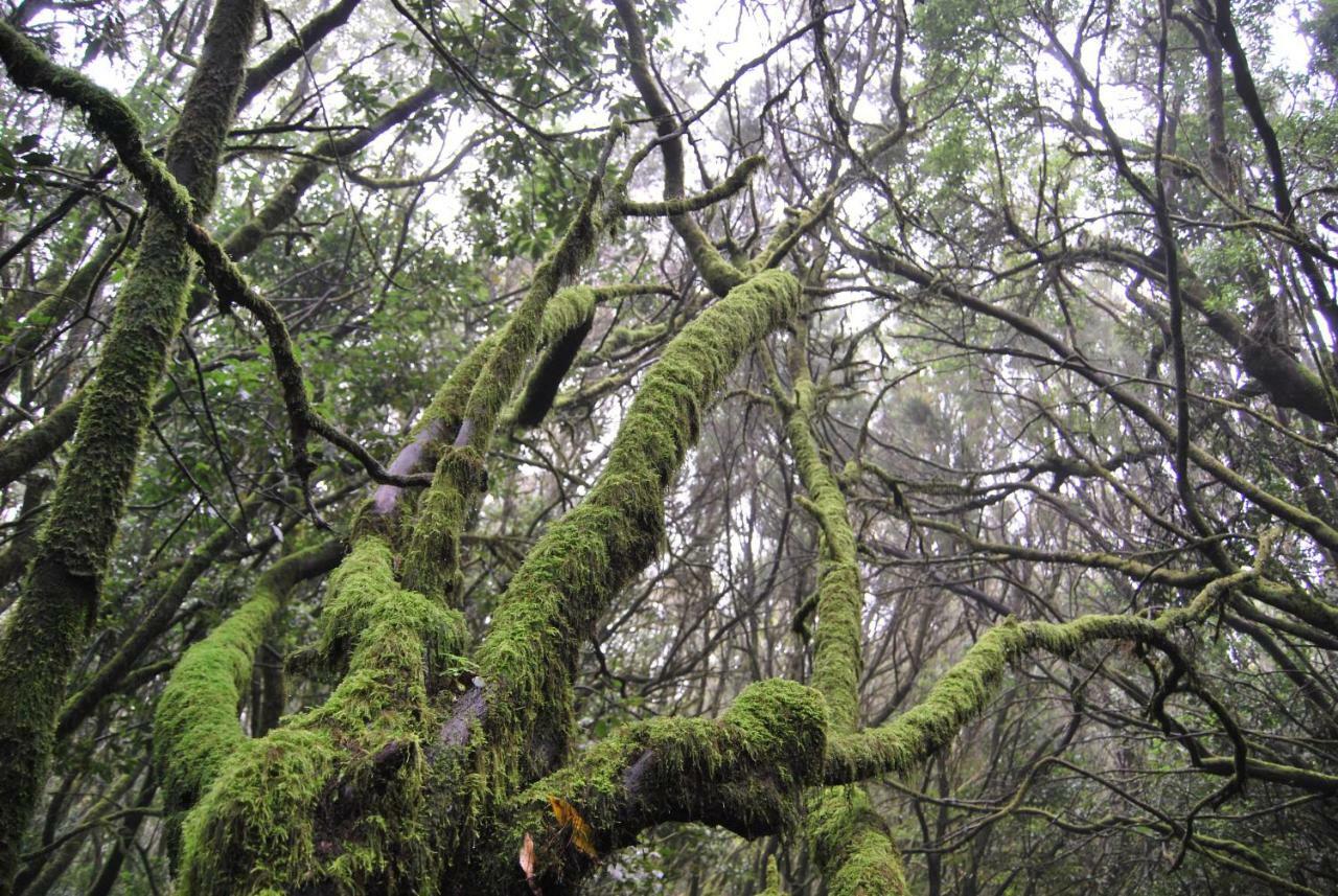 San Sebastián de la GomeraGurugu 2公寓 外观 照片